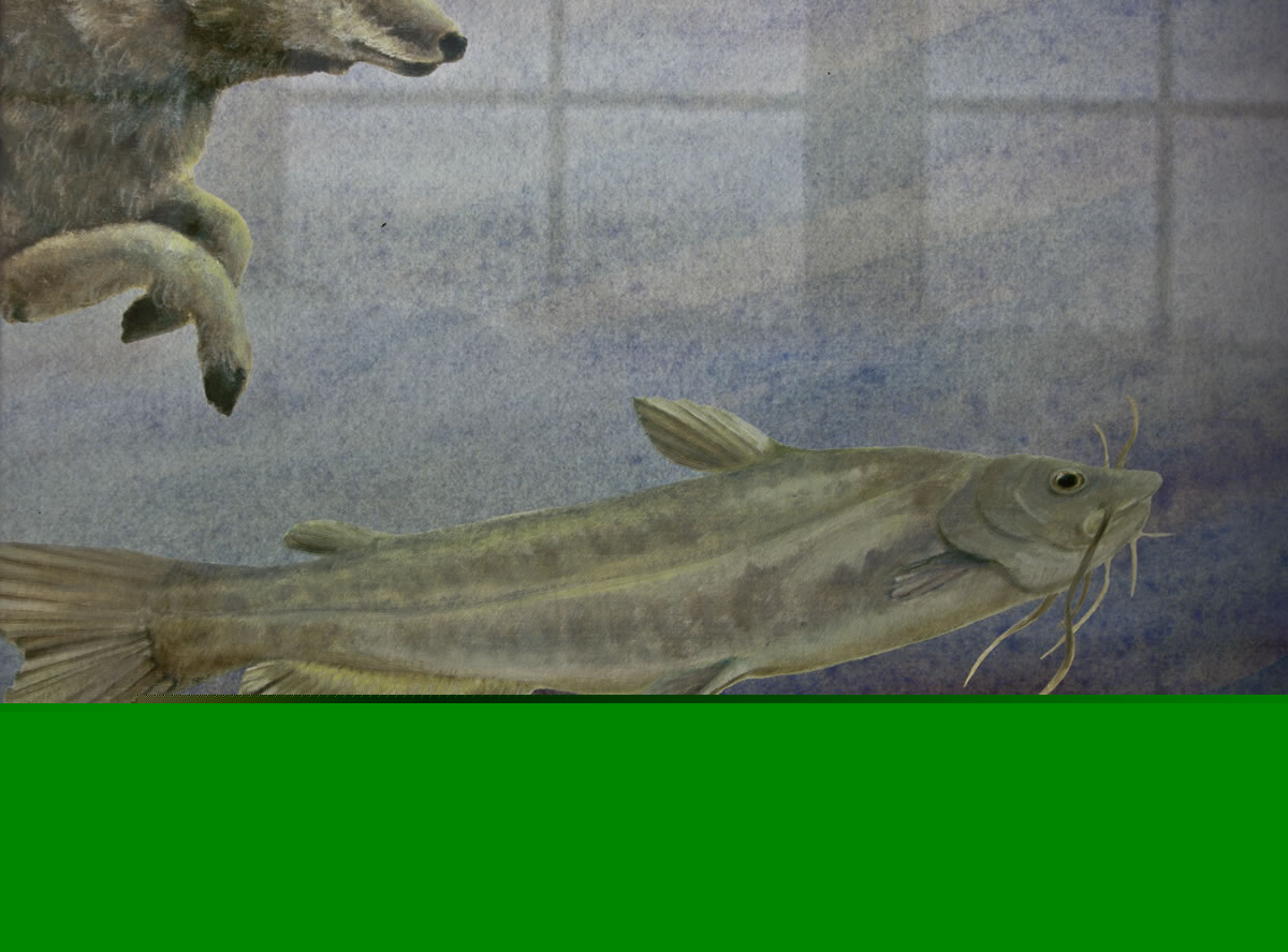 South Overpass - "Hawks" - Detail, right panel, bottom