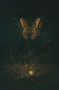 Moth,   30 x 20 inches,  oil on linen